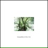 Slow Life Music Laboratory