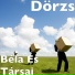 Dörzs