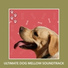 Dog Chill Out Music