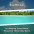 Coastal Sounds, Ocean Sounds, Nature Sounds