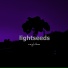 Lightseeds