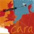Cara