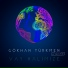 Gokhan Turkmen ft. GT Band