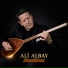 Ali Albay