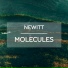 Newitt