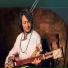 德桑太
