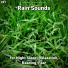 Calming Sounds, Rain Sounds, Nature Sounds