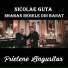 Shaban Regele din Banat feat. Nicolae Guta