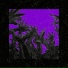 WMond