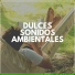 Relajarse