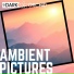101 Dark Orchid Music