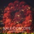 raspberrymusic