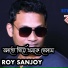 Roy Sanjoy