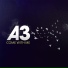 A3