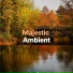 Ambient Music Therapy
