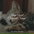 Calm shores, Yoga Soul, Study Power