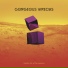 Gorgeous Wrecks