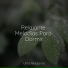 Meditar Profundamente, Meditación, Masajes Spa