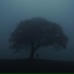 Lleu, xaura