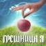 Студия ST & MIL & KAT
