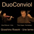 Timo Hoppe, Duo Conviol