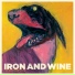 Iron And Wine