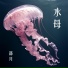 邵月