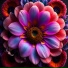 Eternal Flower