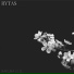 Rytas