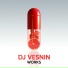 DJ Vesnin