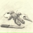 Reni
