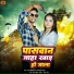 Ranjan Vidhyarthi, Sarswati Sargam