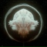 SYTFAR