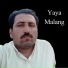 Yaya Malang