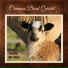 Common Bond Quartet feat. Jason Matthew Clark