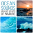 Nature Sounds Collective