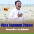 Aameer Hussain Qalandri