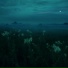 sløwness, .sadwave