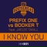Prefix One feat. Jaelee Small
