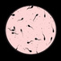 Spermata Nous