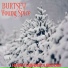 BURTSEV