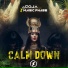 DJ Goja faet.Magic Phase - Calm Down (Remix)