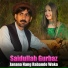 Saidullah Gurbaz