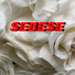 Sebe