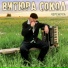 Вис Виталис, Витюра Сокол