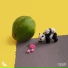 Dance Fruits Music