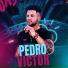 Pedro Victor PV