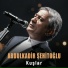 Abdulkadir Şehitoğlu