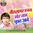 Neelsagar Vishwakarma