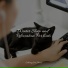 Jazz Music Therapy for Cats, Music for Cats Deluxe